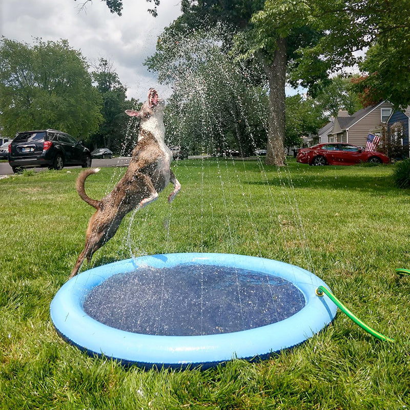 DogPool - Piscina Inflável para Pets
